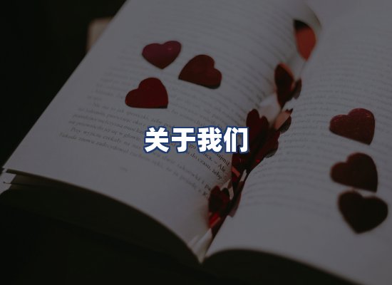 关于我们